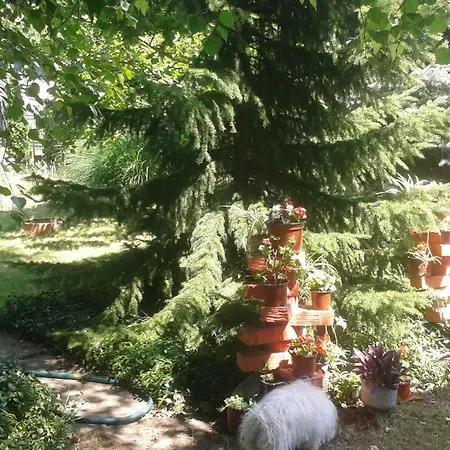 Sobe Dijana Kwatera prywatna