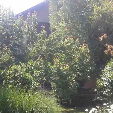 Homestay szállás Sobe Dijana Szabadka